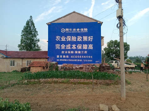 王屋墙体广告为何受追捧？