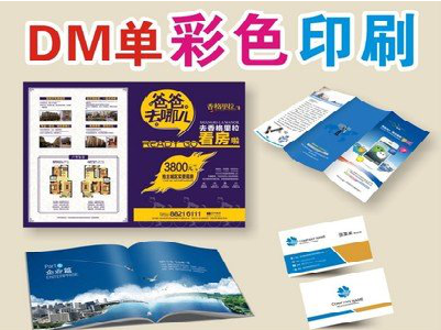 王屋单页印刷，色彩搭配简单。